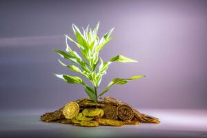 Article 04.7 – La maîtrise de notre monnaie