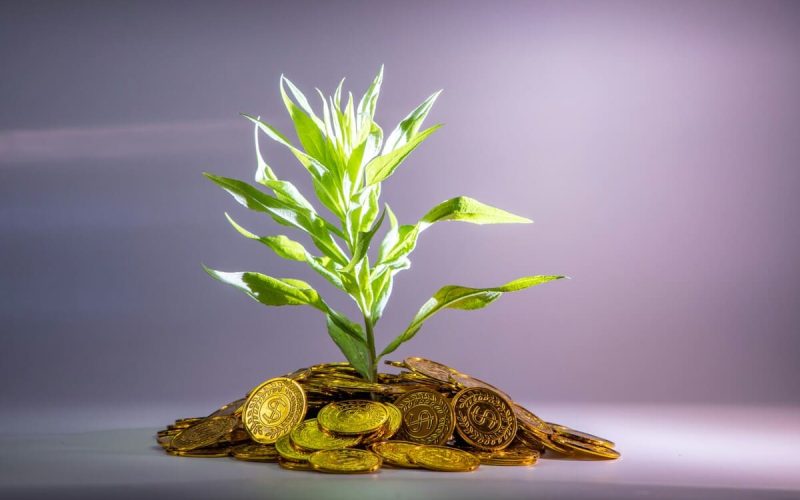 Article 04.7 – La maîtrise de notre monnaie